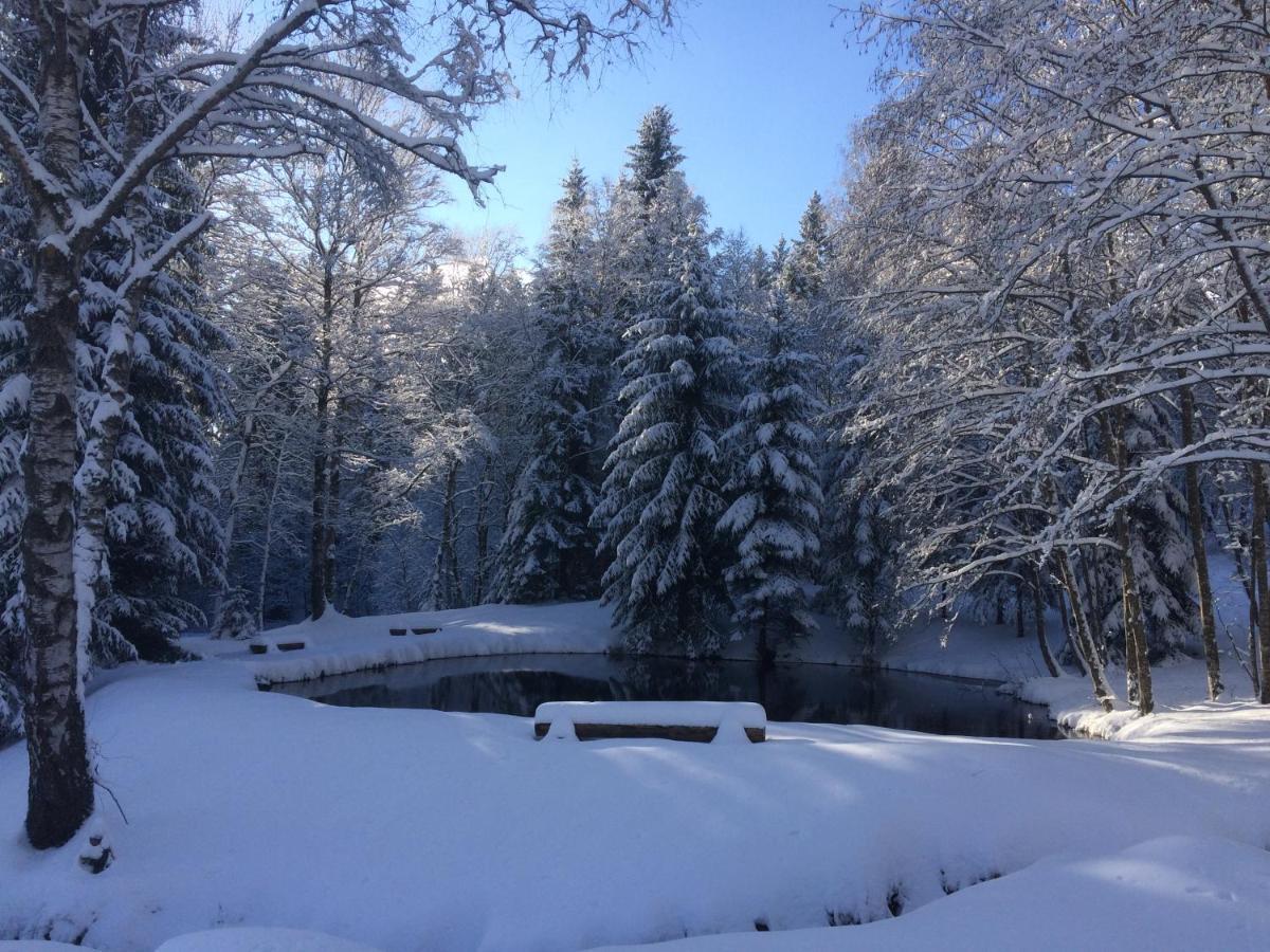 Chata Rozhlas Železná Ruda Buitenkant foto